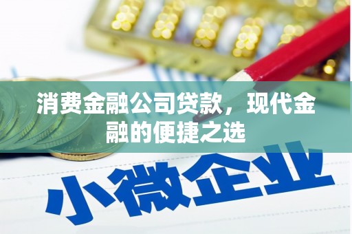 庄浪消费金融公司贷款，现代金融的便捷之选