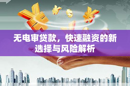 庄浪无电审贷款，快速融资的新选择与风险解析