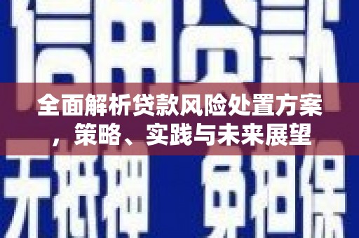 庄浪全面解析贷款风险处置方案，策略、实践与未来展望