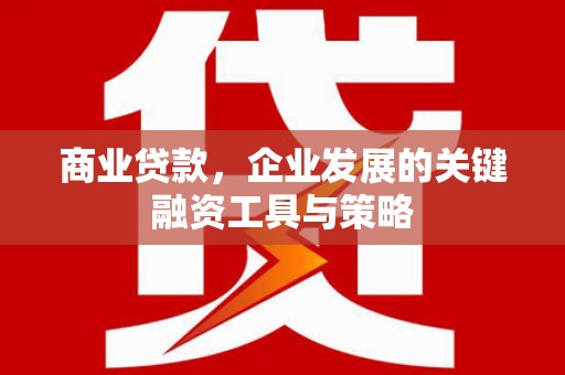 庄浪商业贷款，企业发展的关键融资工具与策略