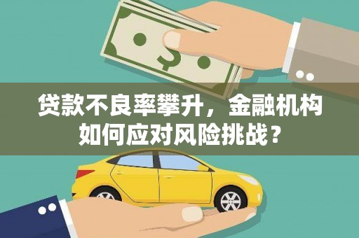 庄浪贷款不良率攀升，金融机构如何应对风险挑战？