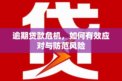 庄浪逾期贷款危机，如何有效应对与防范风险