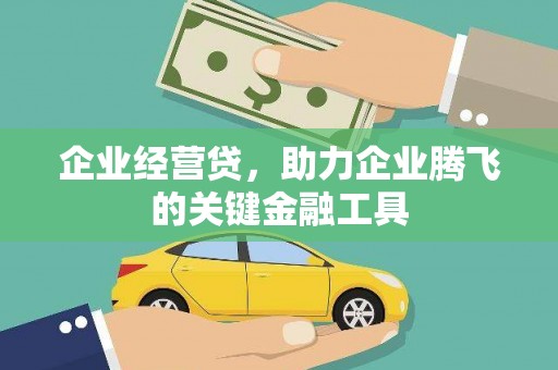 庄浪企业经营贷，助力企业腾飞的关键金融工具
