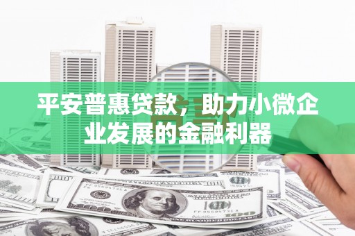 庄浪平安普惠贷款，助力小微企业发展的金融利器