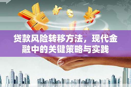 庄浪贷款风险转移方法，现代金融中的关键策略与实践