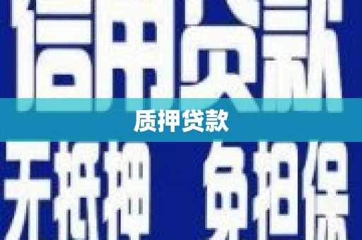 庄浪质押贷款
