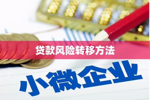 庄浪贷款风险转移方法