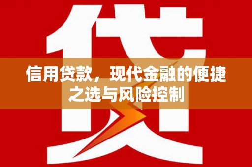 庄浪信用贷款，现代金融的便捷之选与风险控制