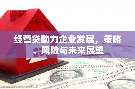 庄浪经营贷助力企业发展，策略、风险与未来展望