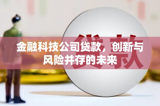 庄浪金融科技公司贷款，创新与风险并存的未来