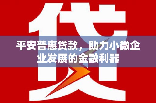 庄浪平安普惠贷款，助力小微企业发展的金融利器