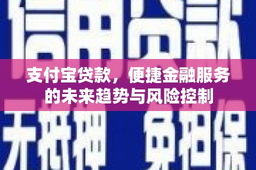 庄浪支付宝贷款，便捷金融服务的未来趋势与风险控制