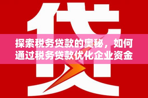 庄浪探索税务贷款的奥秘，如何通过税务贷款优化企业资金流