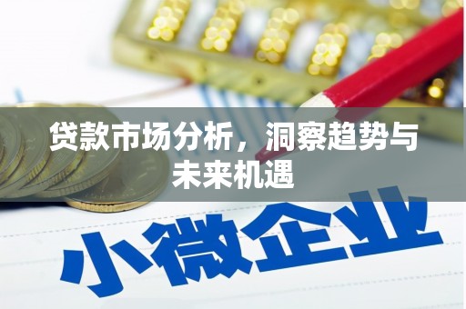 庄浪贷款市场分析，洞察趋势与未来机遇