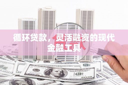 庄浪循环贷款，灵活融资的现代金融工具