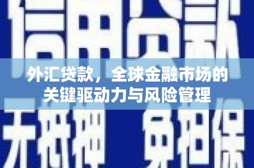 庄浪外汇贷款，全球金融市场的关键驱动力与风险管理