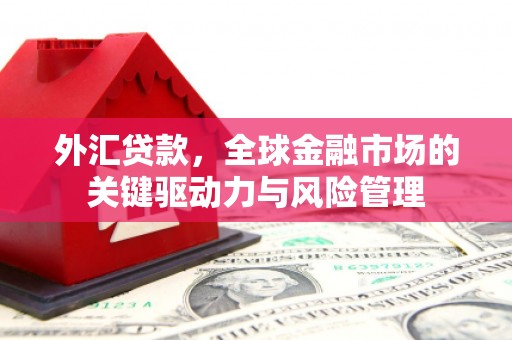 庄浪外汇贷款，全球金融市场的关键驱动力与风险管理