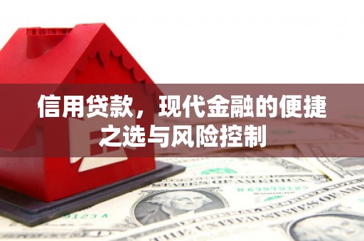 庄浪信用贷款，现代金融的便捷之选与风险控制