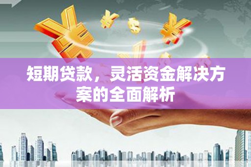 庄浪短期贷款，灵活资金解决方案的全面解析