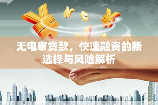庄浪无电审贷款，快速融资的新选择与风险解析