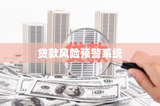 庄浪贷款风险预警系统