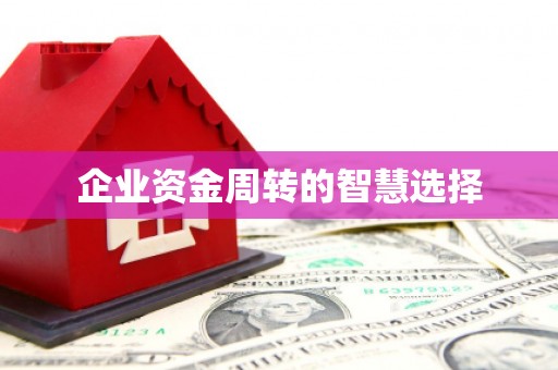 庄浪企业资金周转的智慧选择