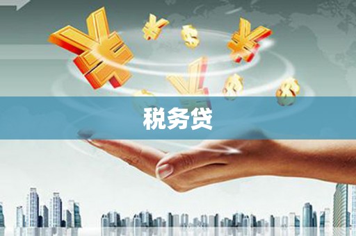 庄浪税务贷