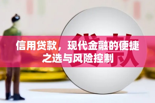 庄浪信用贷款，现代金融的便捷之选与风险控制