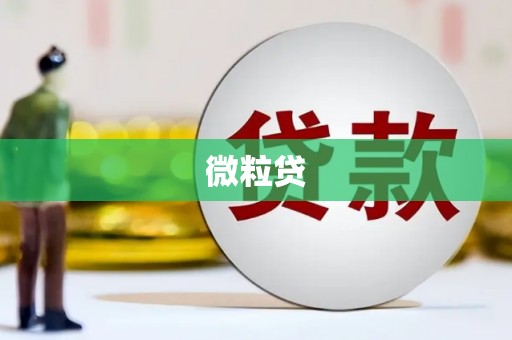 庄浪微粒贷