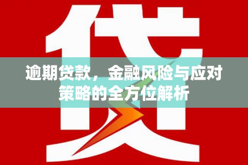 庄浪逾期贷款，金融风险与应对策略的全方位解析