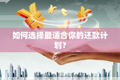 庄浪如何选择最适合你的还款计划？