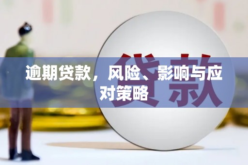 庄浪逾期贷款，风险、影响与应对策略