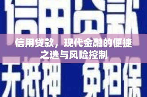 庄浪信用贷款，现代金融的便捷之选与风险控制