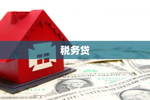 庄浪税务贷