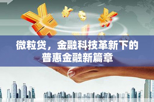 庄浪微粒贷，金融科技革新下的普惠金融新篇章