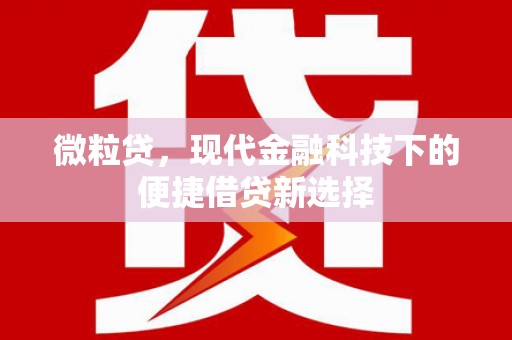 庄浪微粒贷，现代金融科技下的便捷借贷新选择
