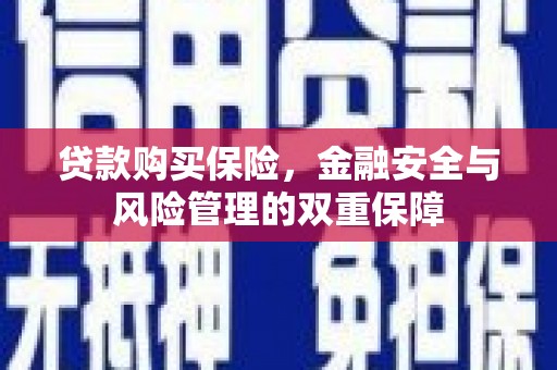 庄浪贷款购买保险，金融安全与风险管理的双重保障