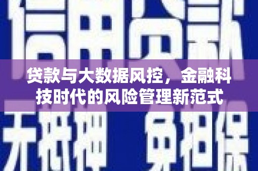 庄浪贷款与大数据风控，金融科技时代的风险管理新范式