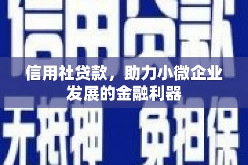 庄浪信用社贷款，助力小微企业发展的金融利器