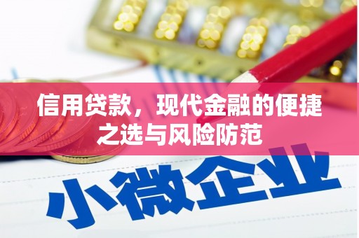 庄浪信用贷款，现代金融的便捷之选与风险防范
