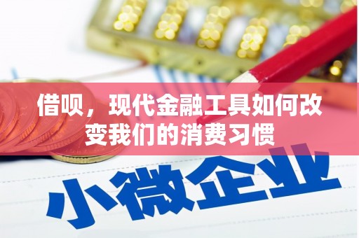 庄浪借呗，现代金融工具如何改变我们的消费习惯