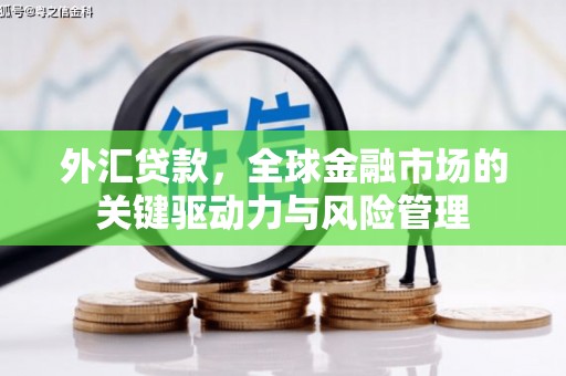 庄浪外汇贷款，全球金融市场的关键驱动力与风险管理