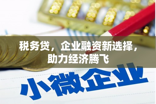 庄浪税务贷，企业融资新选择，助力经济腾飞
