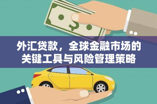 庄浪外汇贷款，全球金融市场的关键工具与风险管理策略