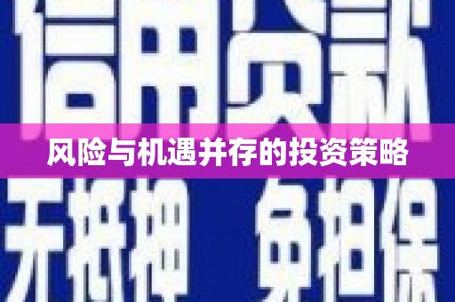 庄浪风险与机遇并存的投资策略