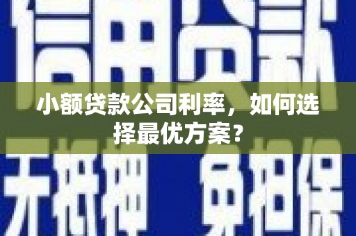 庄浪小额贷款公司利率，如何选择最优方案？