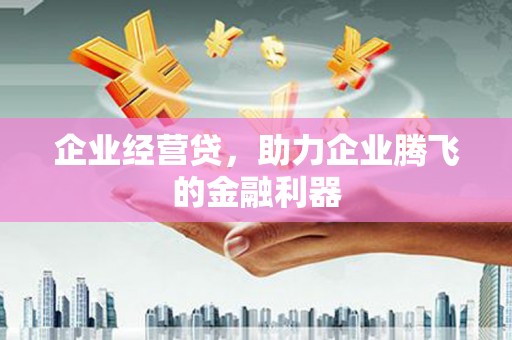 庄浪企业经营贷，助力企业腾飞的金融利器