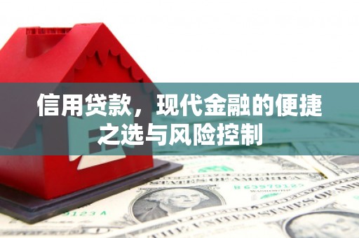 庄浪信用贷款，现代金融的便捷之选与风险控制