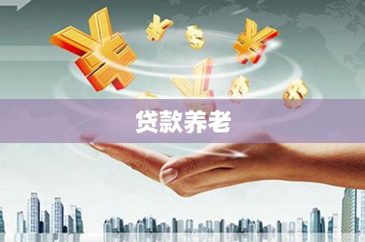 庄浪贷款养老