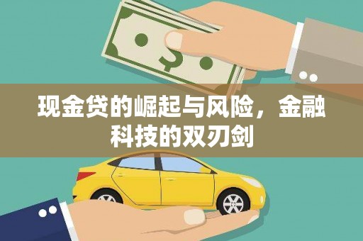 庄浪现金贷的崛起与风险，金融科技的双刃剑